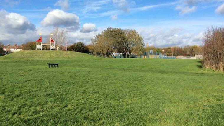 A view of the open scenery at Leesland Park