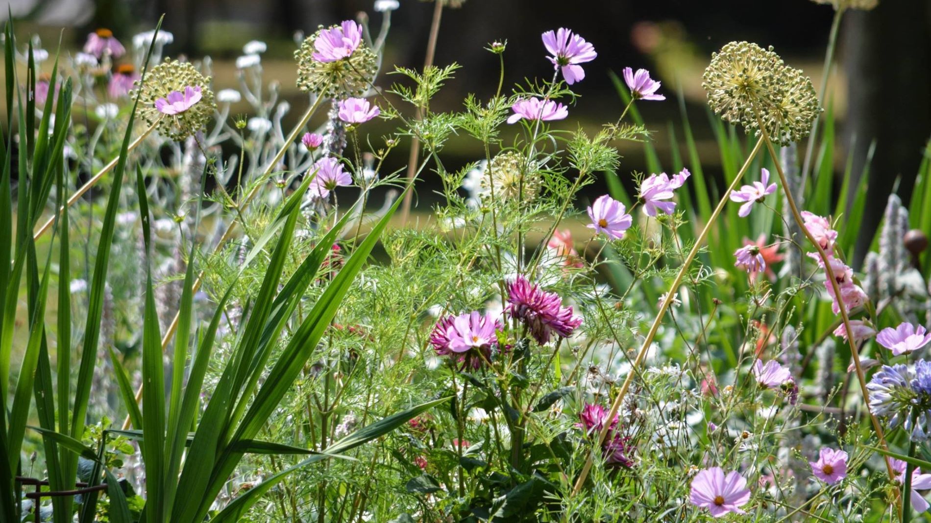 Shore Leave Haslar community project at Haslar Memorial Garden