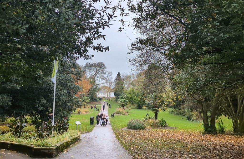 Stanley Park and Pebbles Single
