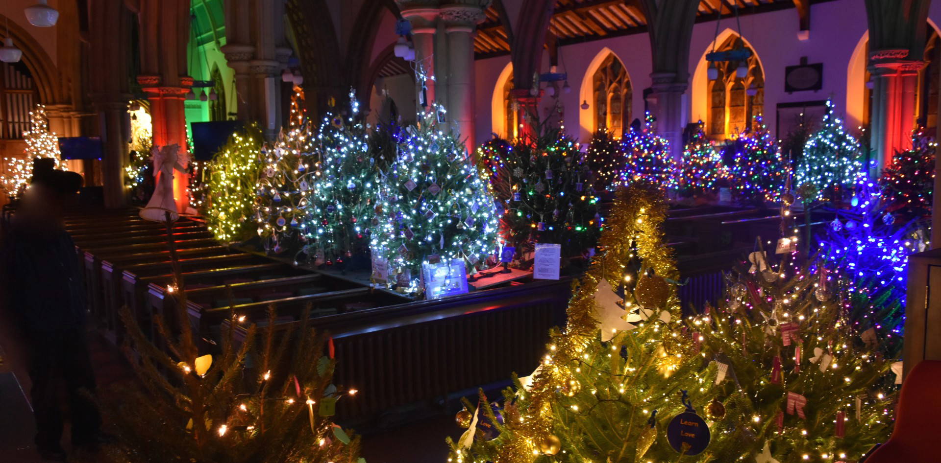 thumbnail_Alverstoke Chritmas Trees (1