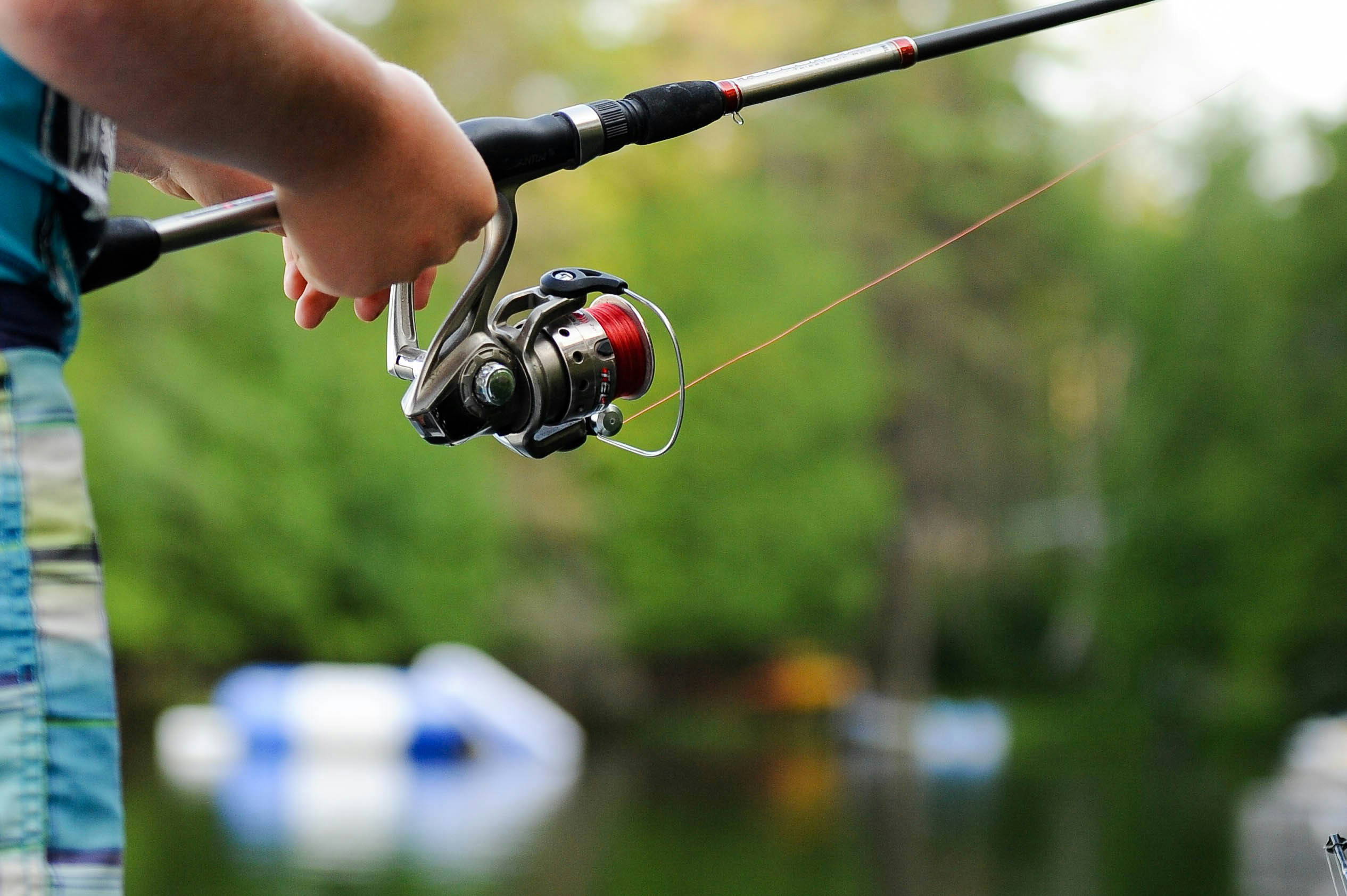 Fishing rod